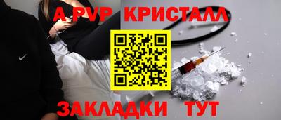 2c-b Кингисепп