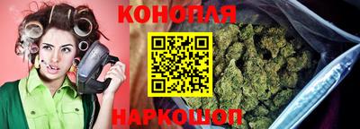 2c-b Кингисепп