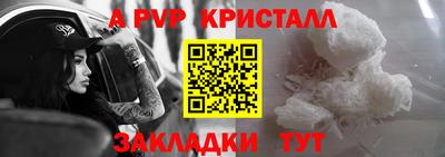 2c-b Кингисепп